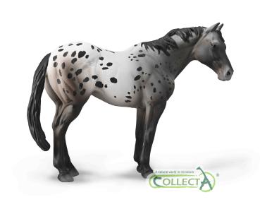 APPALOOSA HENGST BLUE ROAN (XL)